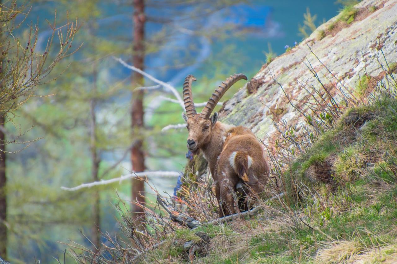 Ferienwohnungen Haus Alte Baeckerei Randa Exteriér fotografie