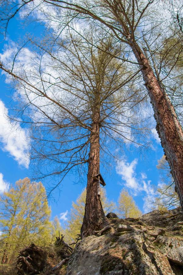 Ferienwohnungen Haus Alte Baeckerei Randa Exteriér fotografie